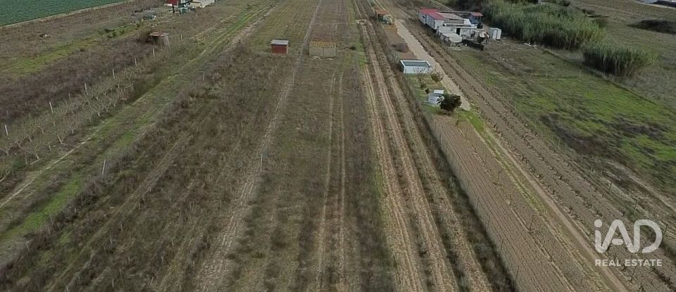 Land in Benfica do Ribatejo of 6,720 m²
