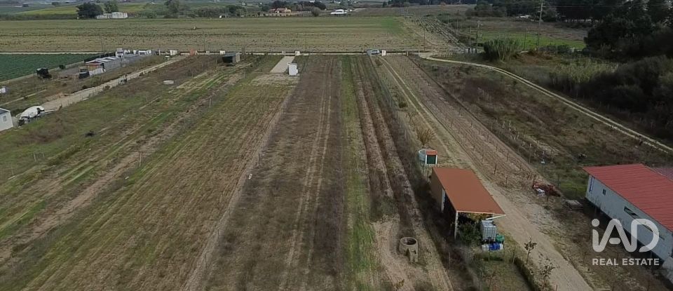 Land in Benfica do Ribatejo of 6,720 m²
