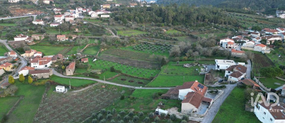 Terreno urbano em São Miguel, Santa Eufémia e Rabaçal de 1 180 m²