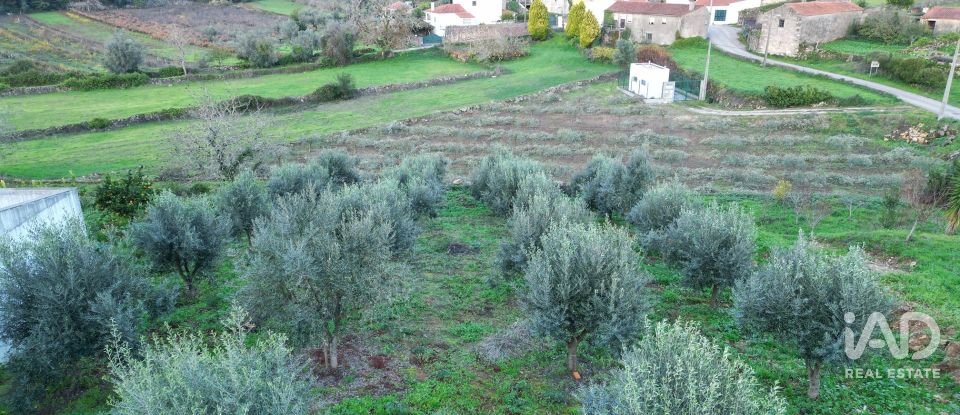 Terreno urbano em São Miguel, Santa Eufémia e Rabaçal de 1 180 m²