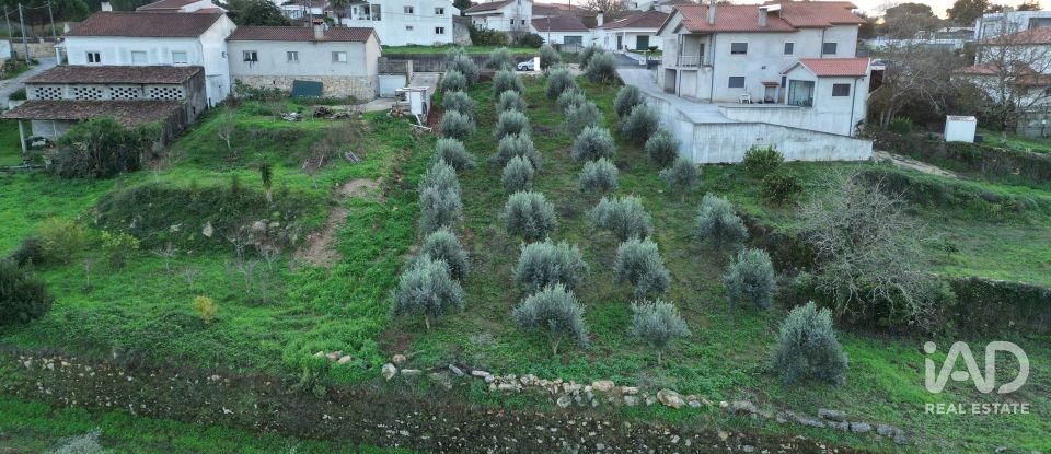 Terreno urbano em São Miguel, Santa Eufémia e Rabaçal de 1 180 m²