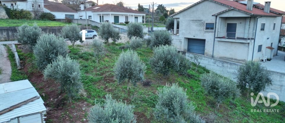 Terreno urbano em São Miguel, Santa Eufémia e Rabaçal de 1 180 m²