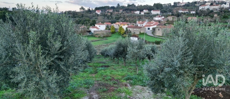 Terreno urbano em São Miguel, Santa Eufémia e Rabaçal de 1 180 m²