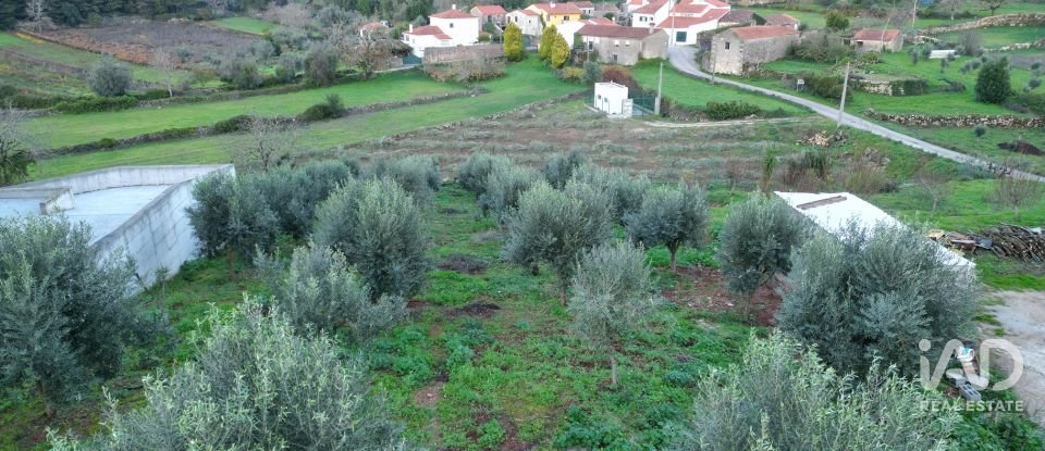 Terreno urbano em São Miguel, Santa Eufémia e Rabaçal de 1 180 m²