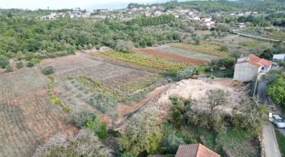 Terrain à bâtir à São Miguel, Santa Eufémia e Rabaçal de 2 460 m²