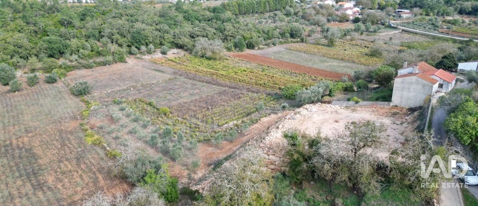 Terreno urbano em São Miguel, Santa Eufémia e Rabaçal de 2 460 m²
