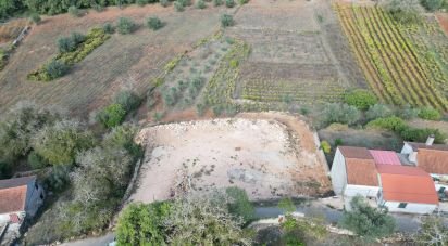 Terrain à bâtir à São Miguel, Santa Eufémia e Rabaçal de 2 460 m²