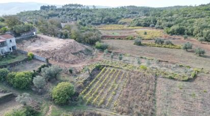 Terrain à bâtir à São Miguel, Santa Eufémia e Rabaçal de 2 460 m²