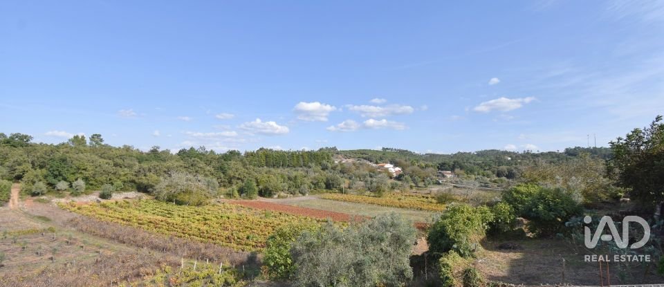 Terreno urbano em São Miguel, Santa Eufémia e Rabaçal de 2 460 m²
