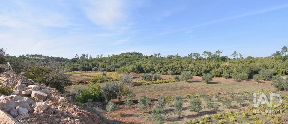 Terreno urbano em São Miguel, Santa Eufémia e Rabaçal de 2 460 m²