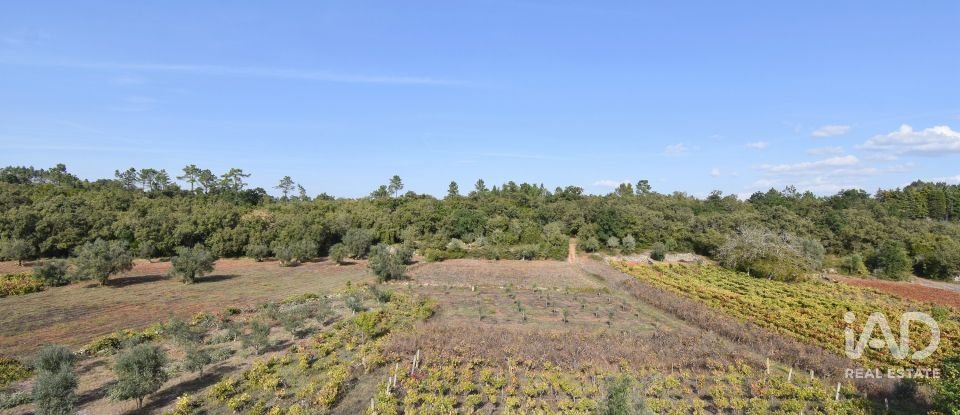 Terreno urbano em São Miguel, Santa Eufémia e Rabaçal de 2 460 m²