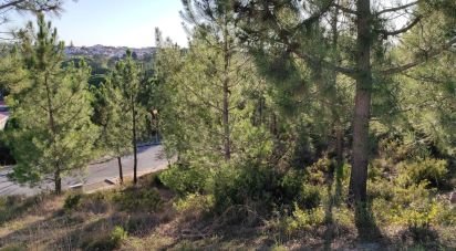 Terrain à bâtir à Sesimbra (Castelo) de 344 m²