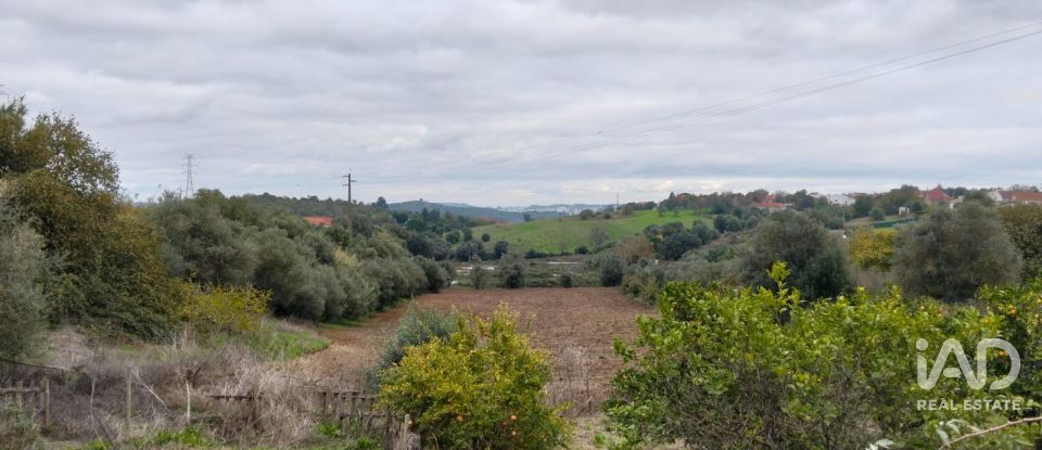 Moradia T4 em Póvoa da Isenta de 200 m²