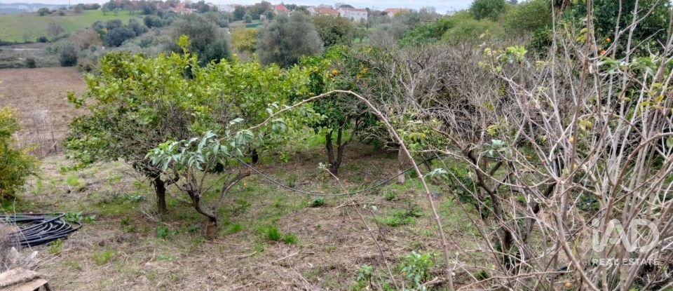 Moradia T4 em Póvoa da Isenta de 200 m²