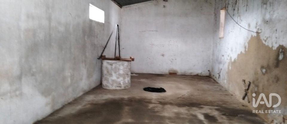 Moradia T4 em Póvoa da Isenta de 200 m²