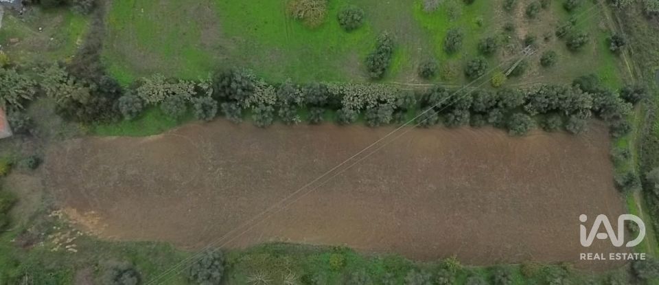 Moradia T4 em Póvoa da Isenta de 200 m²