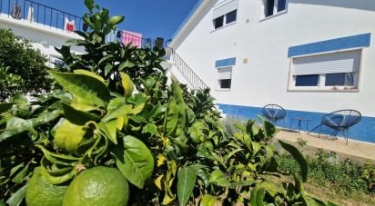 House T4 in Peral of 225 m²