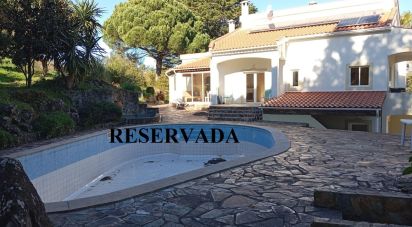 Ferme T8 à Ribeira de Nisa e Carreiras de 378 m²