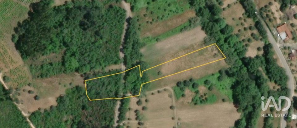 Terreno rústico em Freixianda, Ribeira do Fárrio e Formigais de 3 100 m²