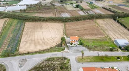 House T3 in Atouguia da Baleia of 232 m²