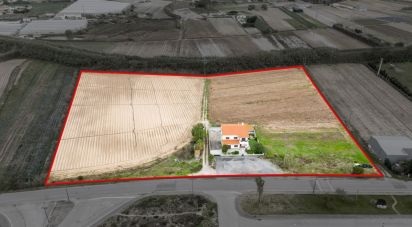 House T3 in Atouguia da Baleia of 232 m²