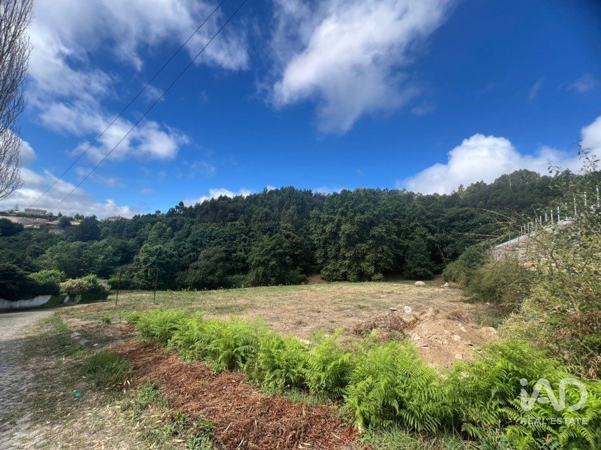 Terreno em Recezinhos (São Mamede) de 4 398 m²