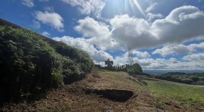 Terrain à Recezinhos (São Mamede) de 4 398 m²