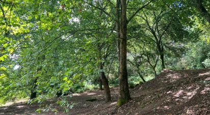 Terrain à Recezinhos (São Mamede) de 4 398 m²