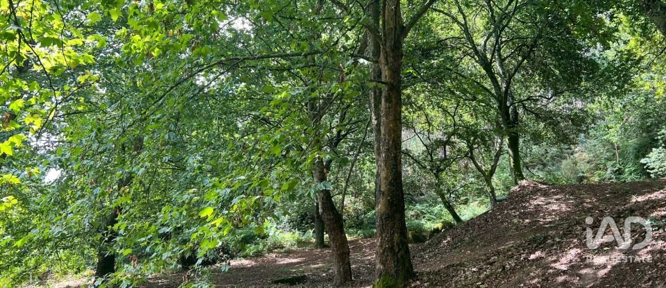 Terreno em Recezinhos (São Mamede) de 4 398 m²