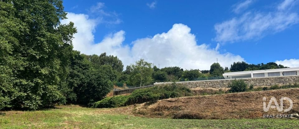 Terreno em Recezinhos (São Mamede) de 4 398 m²