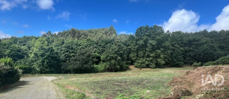 Terreno em Recezinhos (São Mamede) de 4 398 m²