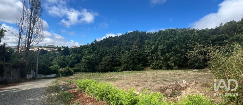 Terreno em Recezinhos (São Mamede) de 4 398 m²