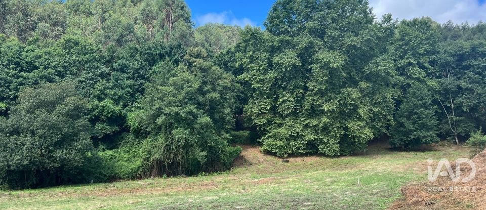 Terreno em Recezinhos (São Mamede) de 4 398 m²