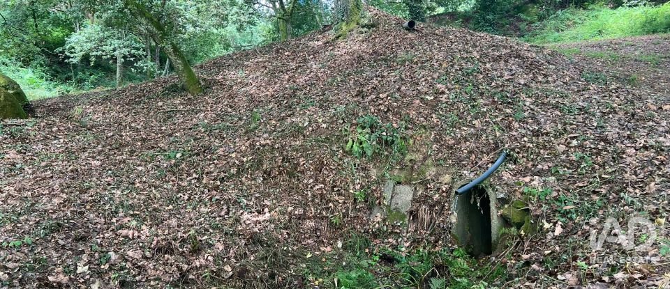 Terreno em Recezinhos (São Mamede) de 4 398 m²