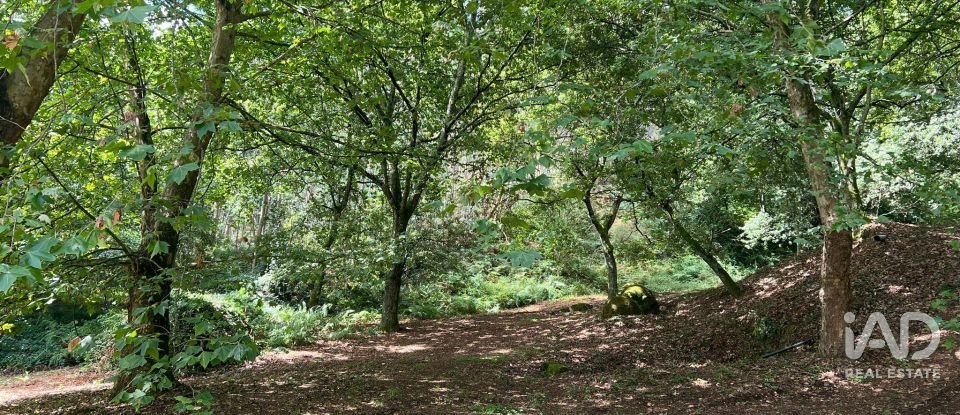 Terreno em Recezinhos (São Mamede) de 4 398 m²