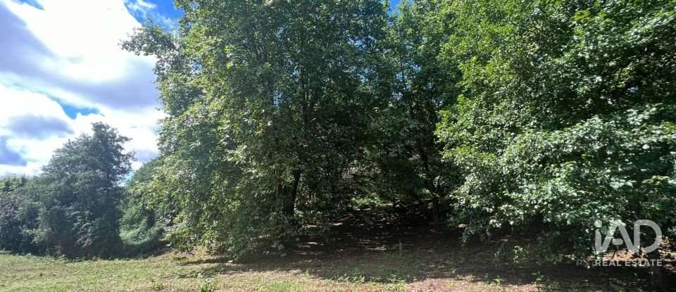 Terreno em Recezinhos (São Mamede) de 4 398 m²