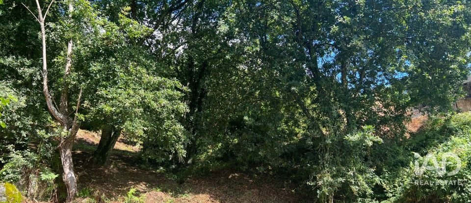 Terreno em Recezinhos (São Mamede) de 4 398 m²