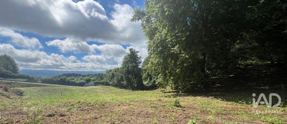 Terreno em Recezinhos (São Mamede) de 4 398 m²