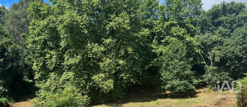 Terreno em Recezinhos (São Mamede) de 4 398 m²