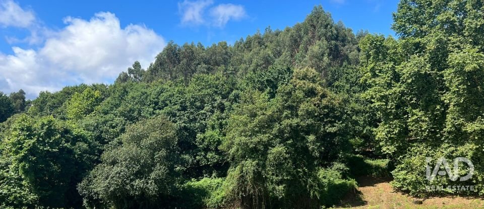 Terreno em Recezinhos (São Mamede) de 4 398 m²