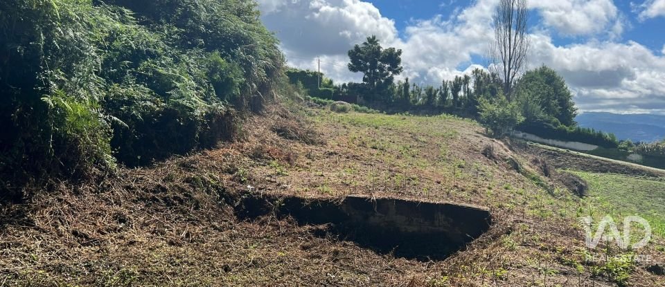 Terreno em Recezinhos (São Mamede) de 4 398 m²