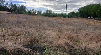 Terrain agricole à Fazendas de Almeirim de 9 120 m²