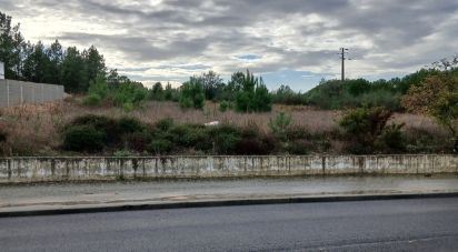 Terrain agricole à Fazendas de Almeirim de 9 120 m²