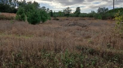 Terrain agricole à Fazendas de Almeirim de 9 120 m²