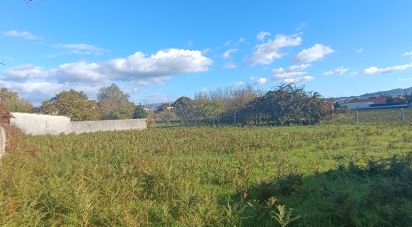 Building plot in Campos e Vila Meã of 878 m²