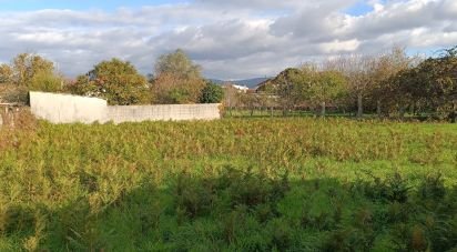 Building plot in Campos e Vila Meã of 878 m²