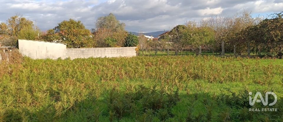 Terreno urbano em Campos e Vila Meã de 878 m²