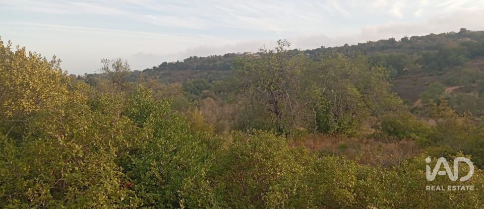 Casa de Campo T2 em Boliqueime de 65 m²