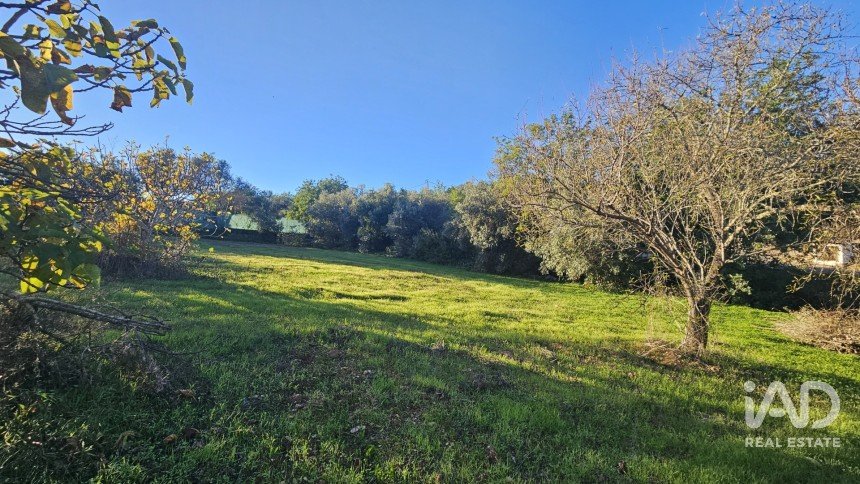 Terreno rústico em Santa Bárbara de Nexe de 4 520 m²