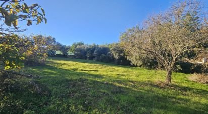 Terrain agricole à Santa Bárbara de Nexe de 4 520 m²